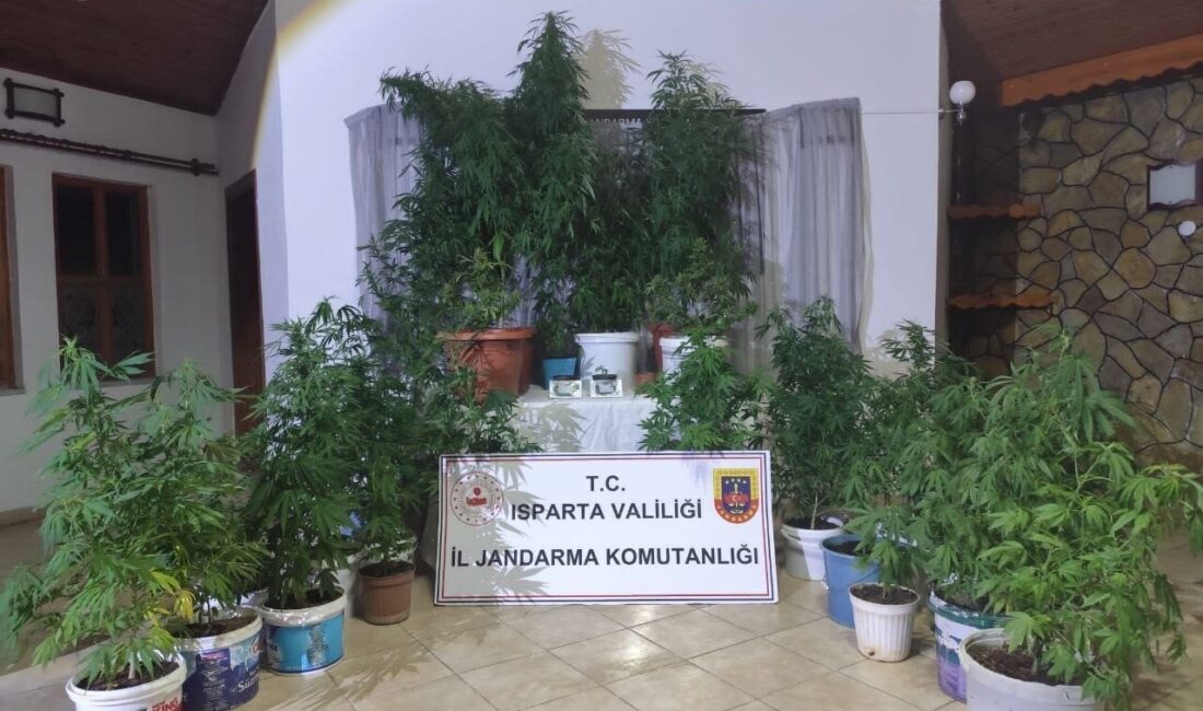Yalvaç Cumhuriyet Başsavcılığı koordinesinde yürütülen uyuşturucuyla mücadele çalışmaları kapsamında son