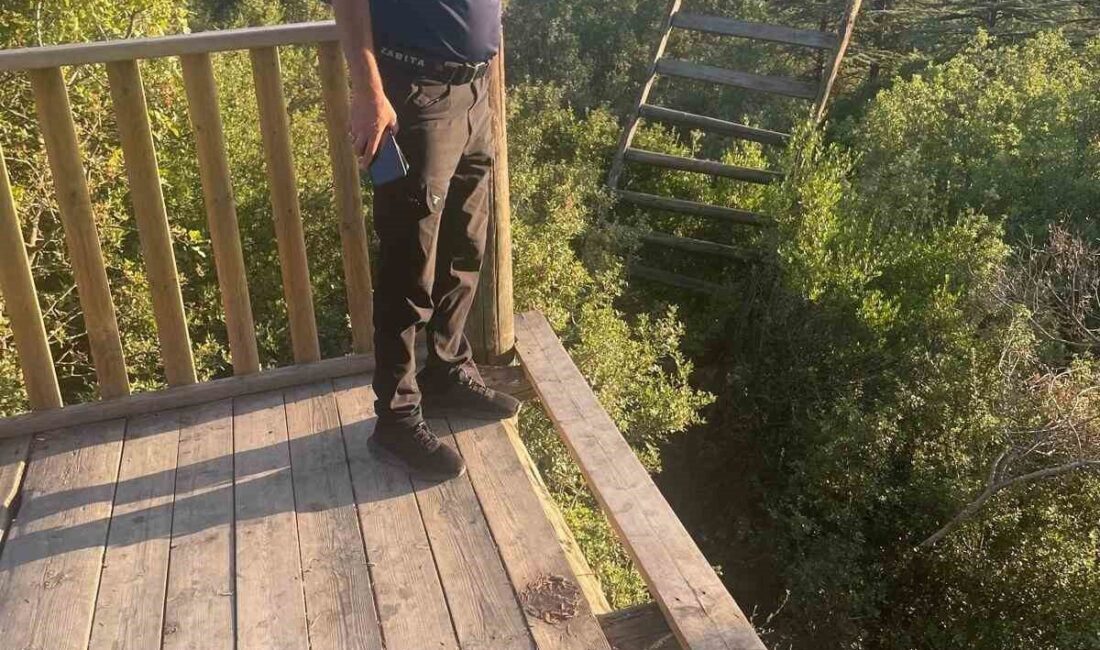 Bilecik-Bozüyük karayolu üzerinde bulunan Kent Ormanı’ndan bulunan seyir terasına kimliği