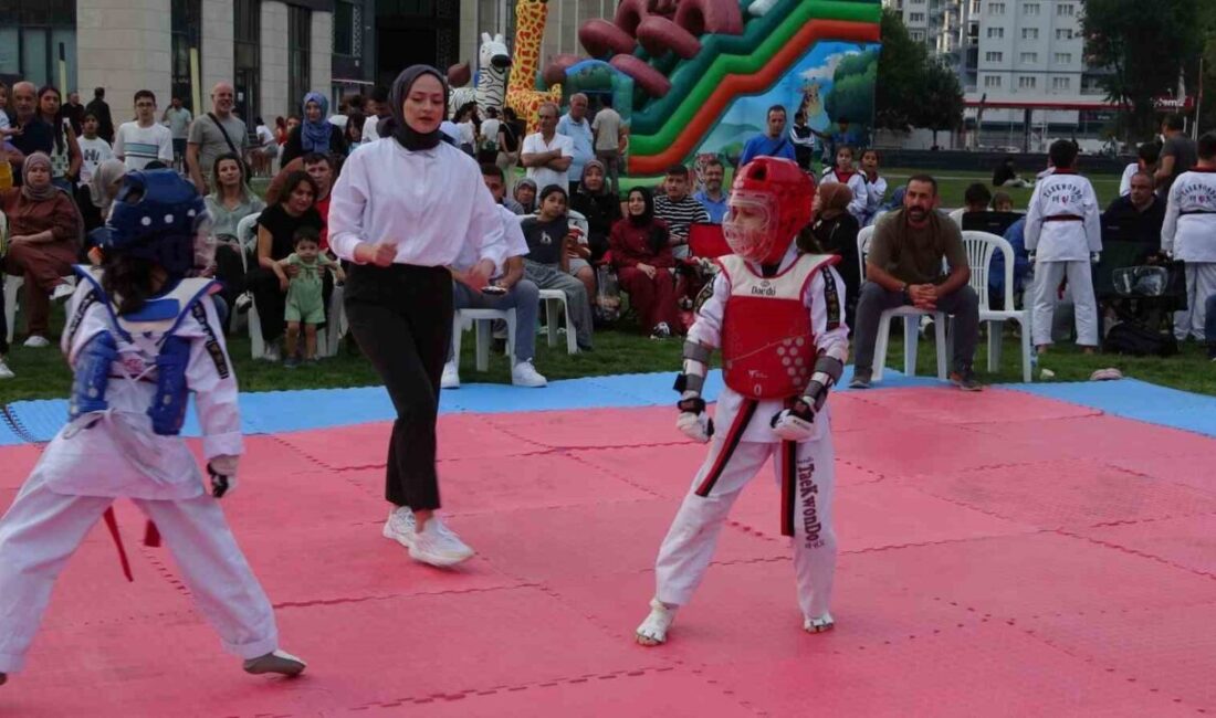 Kütahya’da ilk kez düzenlenen ’Açık Hava Taekwondo Turnuvası’na ilgi Kütahya’da, Minikler Açık Hava Taekwondo Turnuvası gerçekleştirildi. 8 kategoride 65