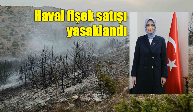 Vali Doç. Dr. Kübra Güran Yiğitbaşı başkanlığında gerçekleştirilen 'Orman Yangınlarıyla