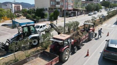 Osmaneli Belediyesi, şehir merkezindeki önemli arterlerden olan Ankara ve İstanbul