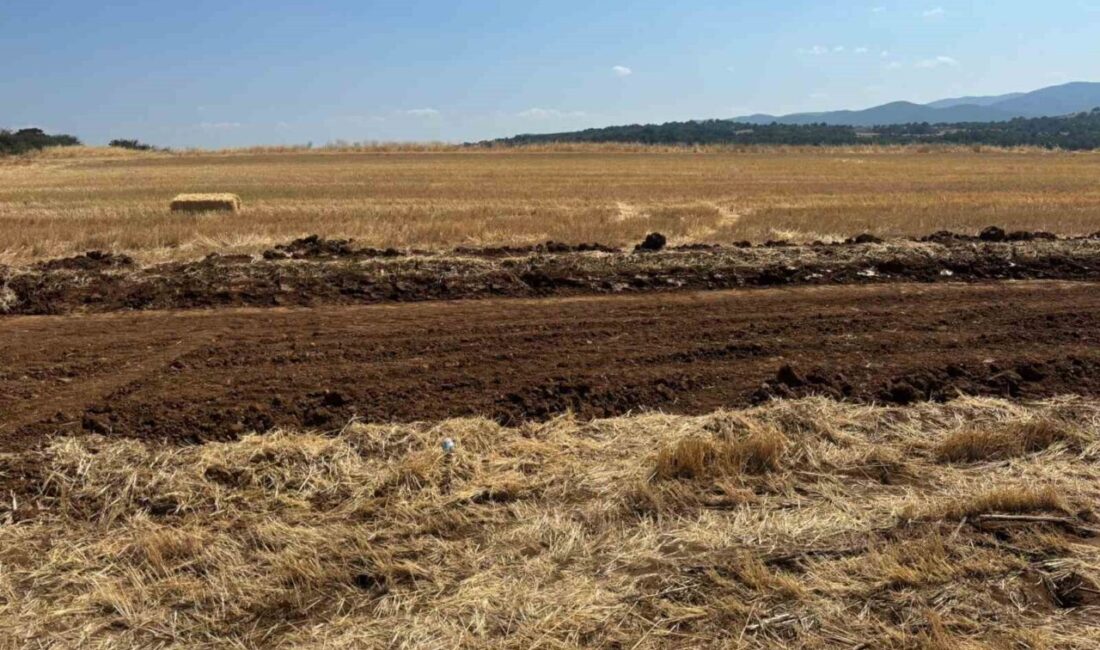 Bilecik’in Pazaryeri ilçesinde tarımsal üretimi artıracak, verimliliği ve çiftçi gelirlerini