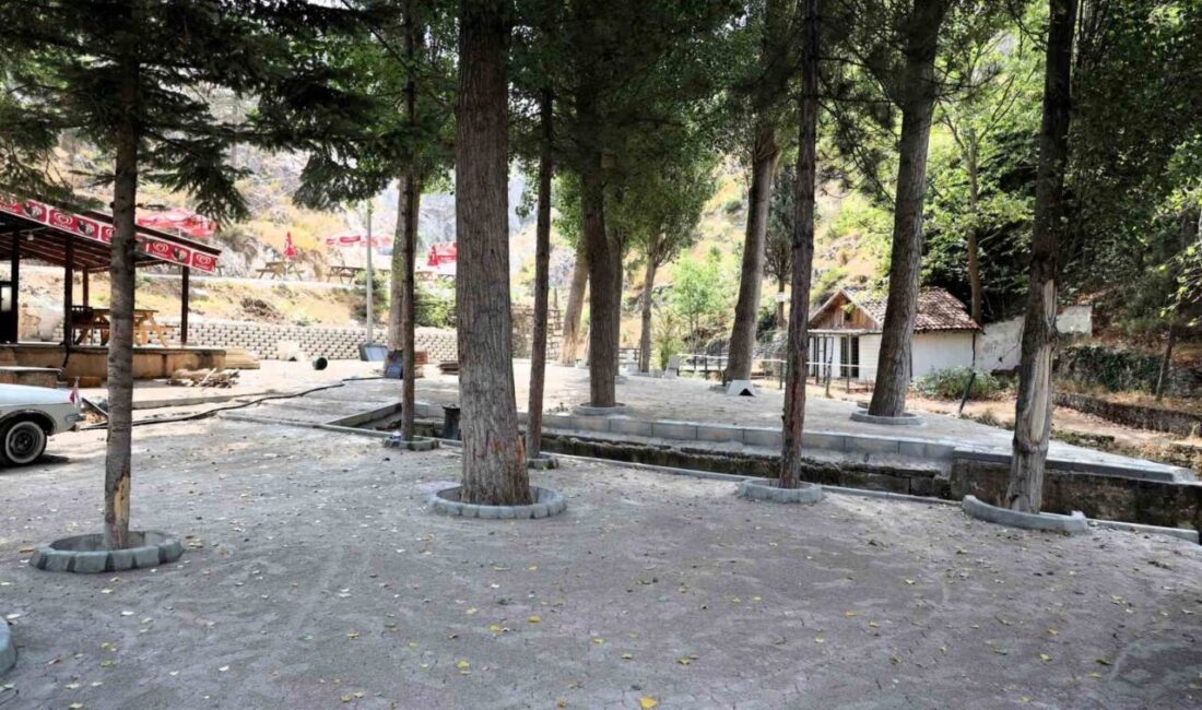 Bilecik’in Söğüt ilçesinde bulunan ve vatandaşlar tarafından sıkça tercih edilen