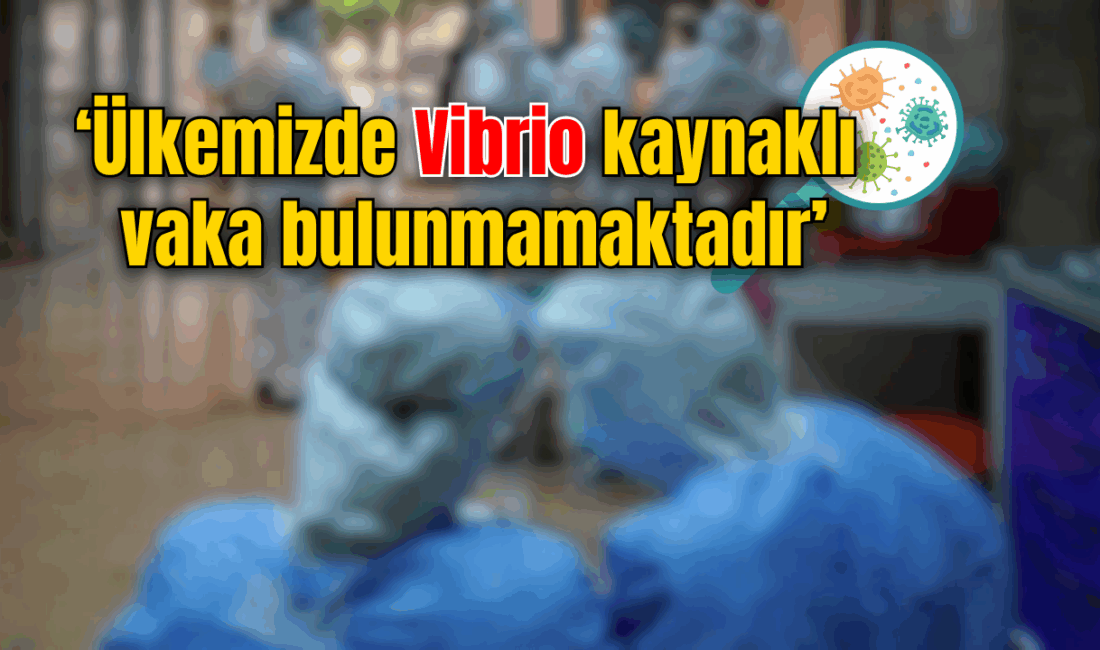 Halk Sağlığı Genel Müdürlüğü: Ülkemizde Vibrio kaynaklı vaka bulunmamaktadır Sağlık Bakanlığı Halk Sağlığı Genel Müdürlüğü, bazı basın yayın organlarında