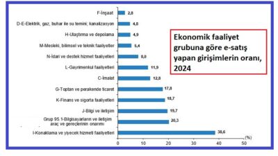 Girişimlerde Bilişim Teknolojileri Kullanım Araştırmasına göre, fiziksel mal sattığını beyan