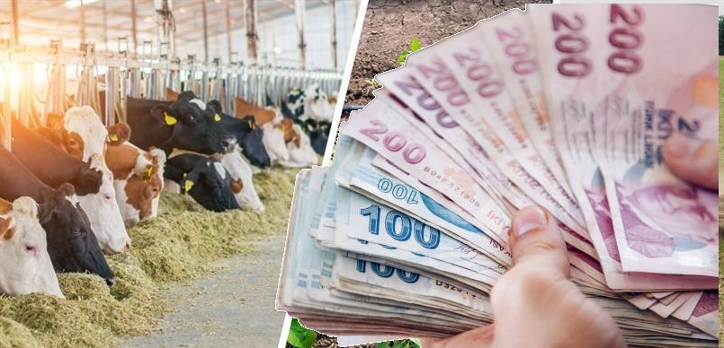 Tarım ve Orman Bakanlığı, haftanın son günü olan 5 Eylül