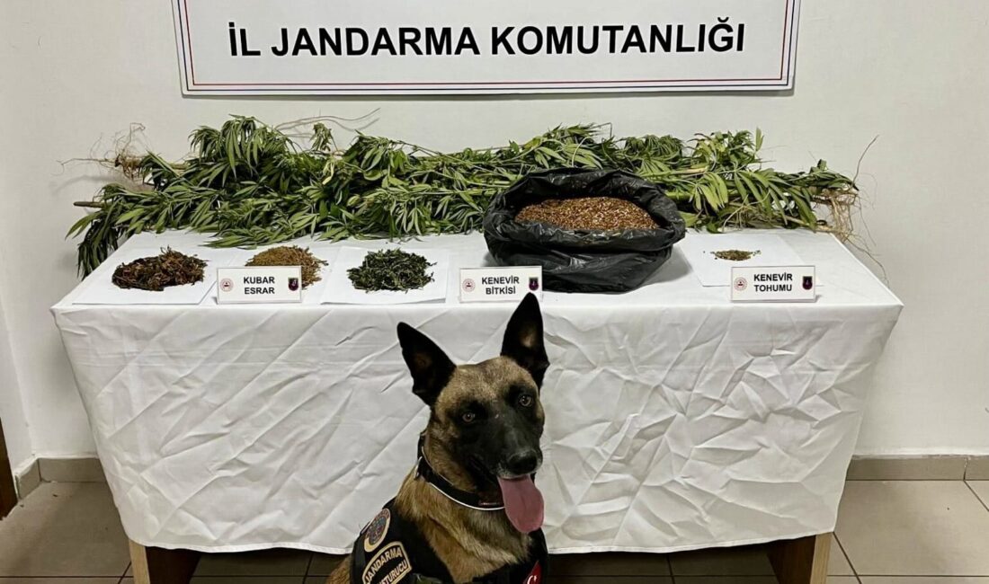 İhsaniye’de uyuşturucu operasyonu: 1 kişi tutuklandı Afyonkarahisar İl Jandarma Komutanlığı görevlileri, İhsaniye ilçesine bağlı Üçlerkayası köyü
