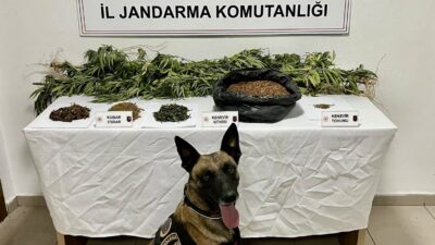 Afyonkarahisar İl Jandarma Komutanlığı görevlileri, İhsaniye ilçesine bağlı Üçlerkayası köyü