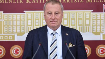 Aralık Dünya Engelliler Günü dolayısıyla bir mesaj yayımlayan İYİ Parti