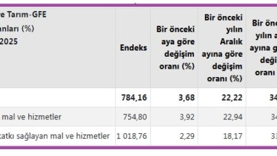  Türkiye İstatistik Kurumu'nun (TÜİK) temmuz ayı verilerine göre tarımsal girdi