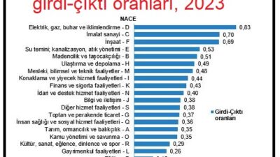Türkiye İstatistik Kurumunun (TÜİK), hazırladığı ‘Arz ve Kullanım Tabloları’ ile