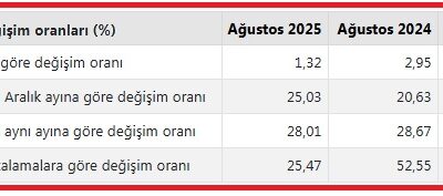 Türkiye İstatistik Kurumunun (TÜİK) açıkladığı ağustos ayına ilişkin Yurt Dışı