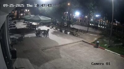 Antalya’da bir parkta devriye gezen güvenlik görevlileri, duydukları gürültünün ardından