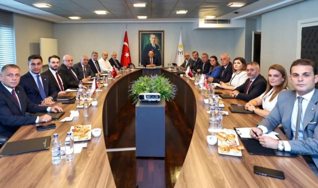 İYİ Parti Genel Başkan Yardımcısı ve Afyonkarahisar Milletvekili Hakan Şeref