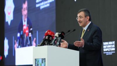 Cumhurbaşkanı Yardımcısı Yılmaz, 2026 Merkezi Yönetim Bütçe Kanun Teklifinde, Kırsal