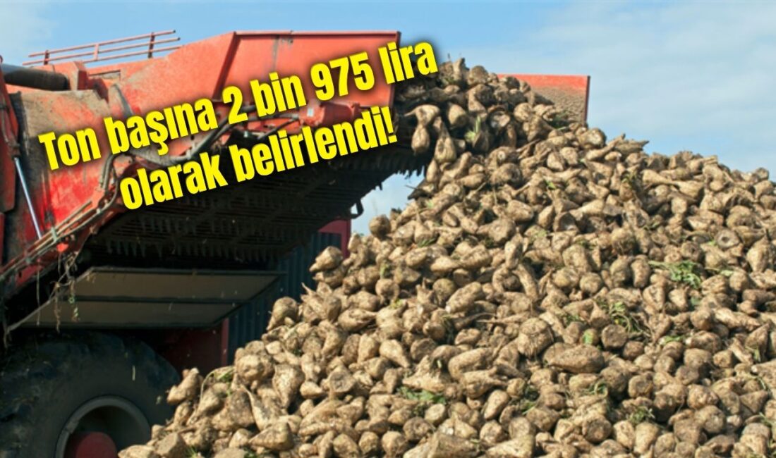Tarım ve Orman Bakanlığı, 2025-2026 üretim yılı şeker pancarı alım