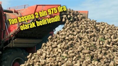 Tarım ve Orman Bakanlığı, 2025-2026 üretim yılı şeker pancarı alım