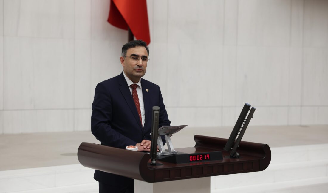 AK Parti Afyon Milletvekili Arslan, Sağlık Bakanlığı'nın bütçe görüşmelerinde yaptığı
