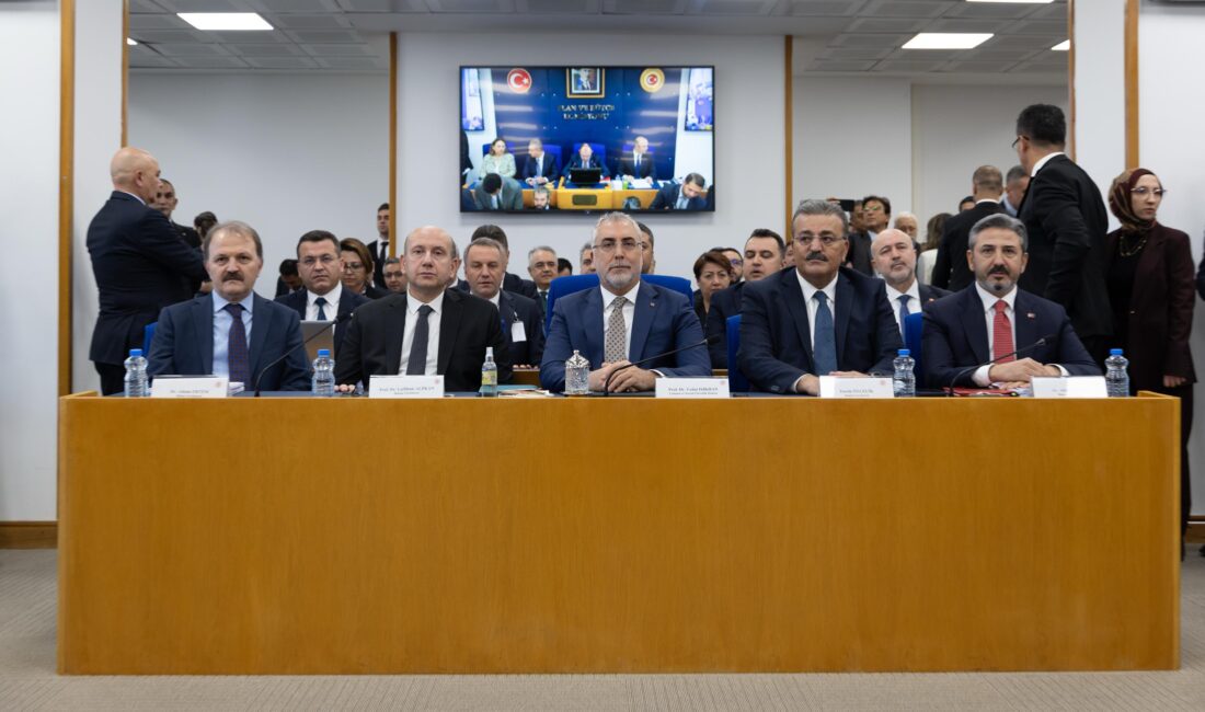 Bakan Işıkhan, Çalışma ve Sosyal Güvenlik Bakanlığı’nın bütçe görüşmelerinde asgari