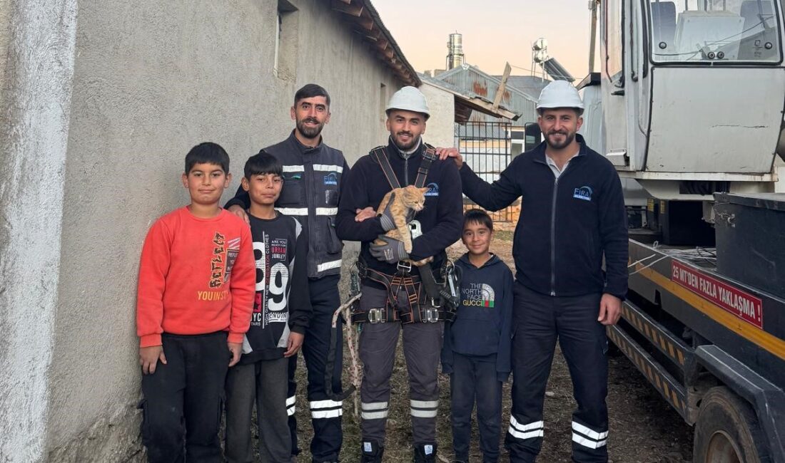 Bingöl’ün Karlıova ilçesinde elektrik direğine çıkan ve orada mahsur kalan