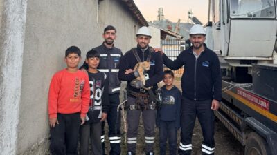 Bingöl’ün Karlıova ilçesinde elektrik direğine çıkan ve orada mahsur kalan