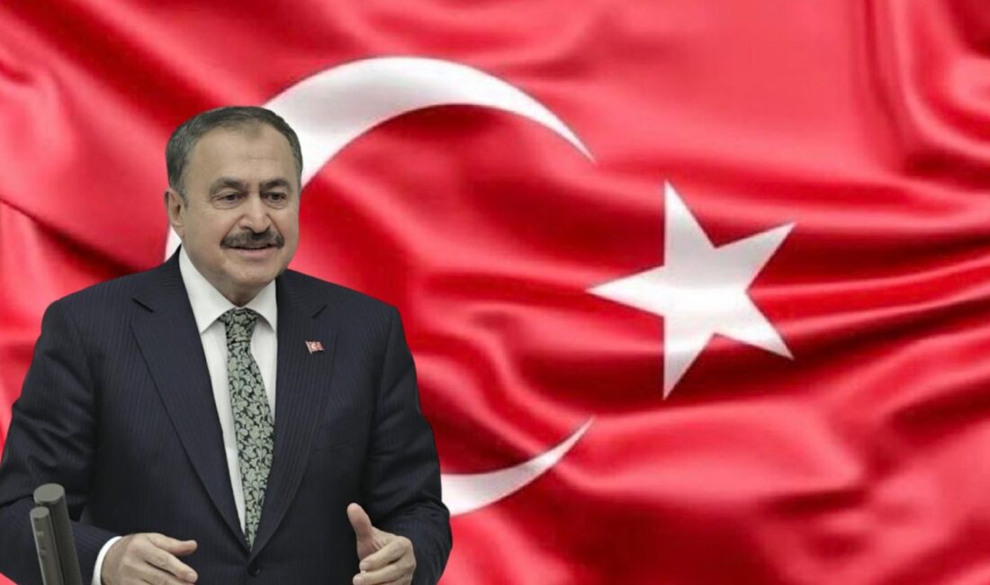 Eski Orman ve Su İşleri Bakanı Prof. Dr. Veysel Eroğlu,