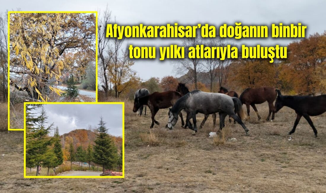 Afyonkarahisar, hafta sonunda doğaseverlere adeta belgesel tadında görüntüler yaşattı.