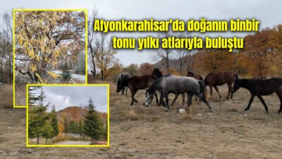 Afyonkarahisar, hafta sonunda doğaseverlere adeta belgesel tadında görüntüler yaşattı.
