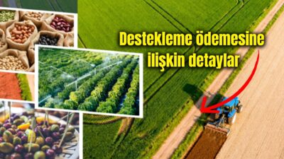 Tarım ve Orman Bakanı İbrahim Yumaklı, 331 milyon 664 bin