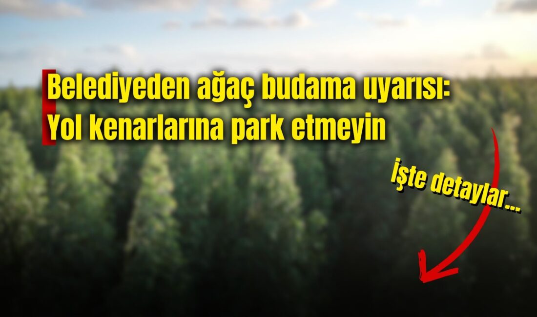 Afyonkarahisar Belediyesi Park ve Bahçeler Müdürlüğü ekipleri, 17–24 Kasım 2025