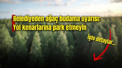 Afyonkarahisar Belediyesi Park ve Bahçeler Müdürlüğü ekipleri, 17–24 Kasım 2025