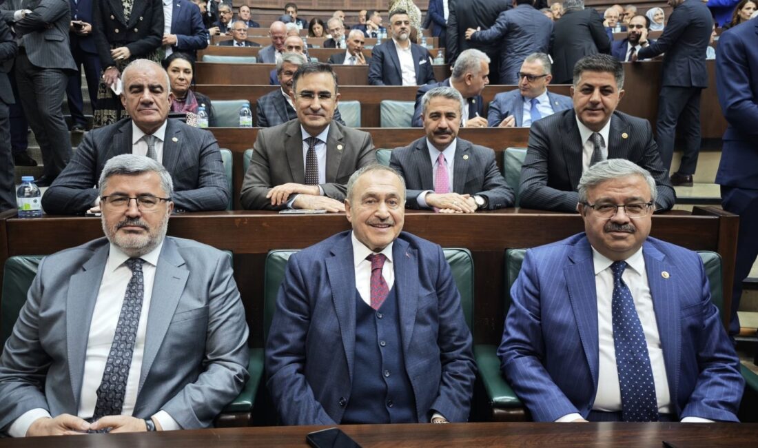 AK Parti Afyonkarahisar Milletvekili Ali Özkaya, TBMM’de düzenlenen AK Parti