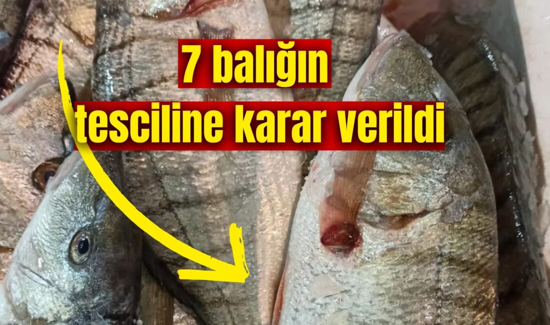 Tarım ve Orman Bakanlığı’nın gıda amaçlı kullanım kapsamında 7 balık