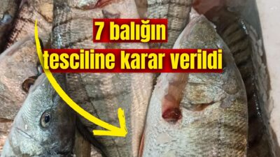 Tarım ve Orman Bakanlığı’nın gıda amaçlı kullanım kapsamında 7 balık