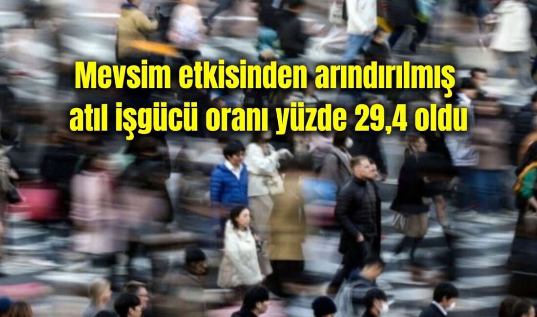 Türkiye İstatistik Kurumu tarafından yapılan Hanehalkı İşgücü Araştırması sonuçlarına göre;