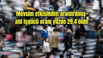 Türkiye İstatistik Kurumu tarafından yapılan Hanehalkı İşgücü Araştırması sonuçlarına göre;
