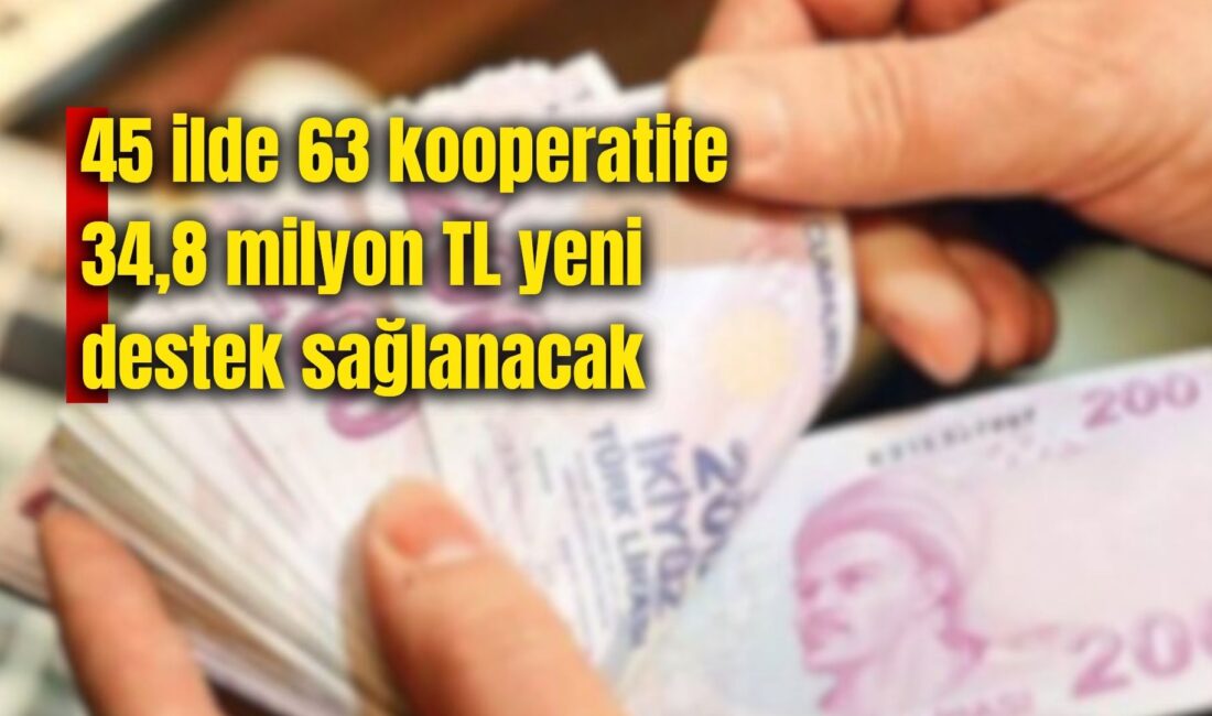 Ticaret Bakanlığı tarafından KOOP-DES kapsamında hibe destekleri devam ediyor. Bu