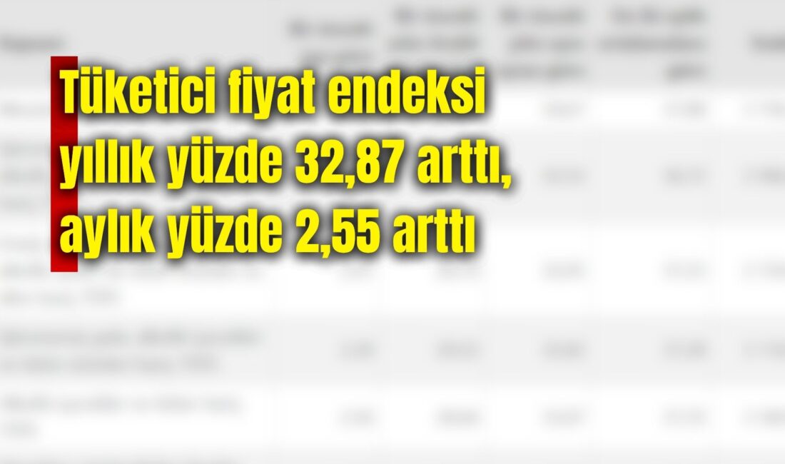 Türkiye İstatistik Kurumu (TÜİK) Tüketici Fiyat Endeksinin (TÜFE) yıllık ve