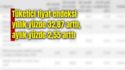 Türkiye İstatistik Kurumu (TÜİK) Tüketici Fiyat Endeksinin (TÜFE) yıllık ve