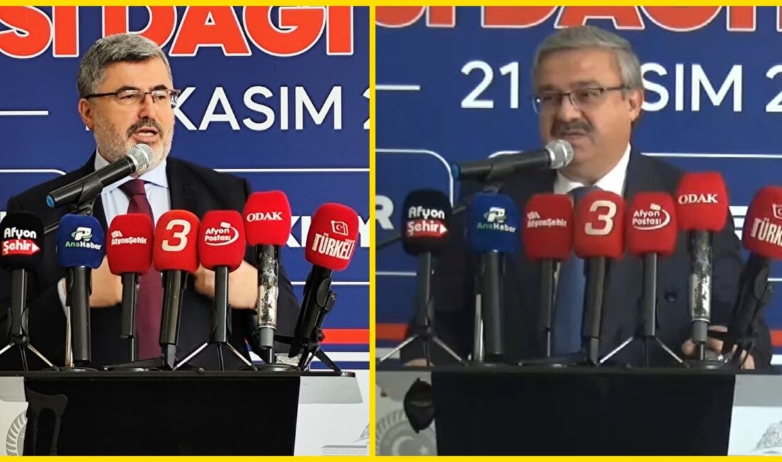AK Parti Afyonkarahisar Milletvekili Ali Özkaya, İl Özel İdaresi araç