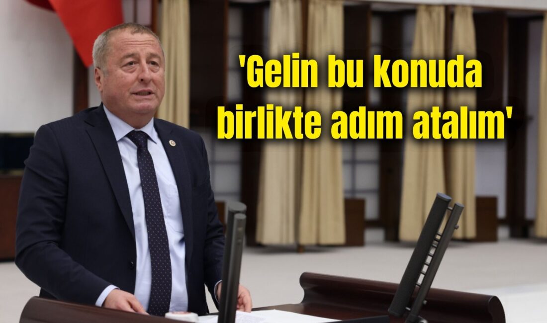 İYİ Parti Afyon Milletvekili Olgun, Adalet Bakanlığı bütçe görüşmelerinde Hukuk