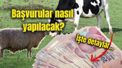 Afyonkarahisar İl Tarım ve Orman Müdürlüğü, 2025 Yılı 1. Dönem