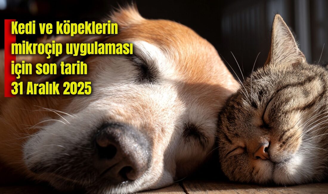 Afyonkarahisar İl Tarım ve Orman Müdürlüğü, kedi ve köpeklerin mikroçip