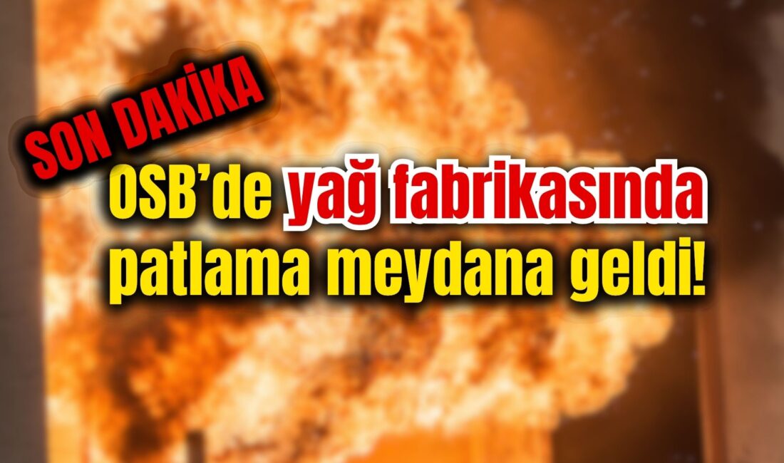 Afyonkarahisar’da bir yağ fabrikasında meydana gelen patlamada 1’i ağır 2