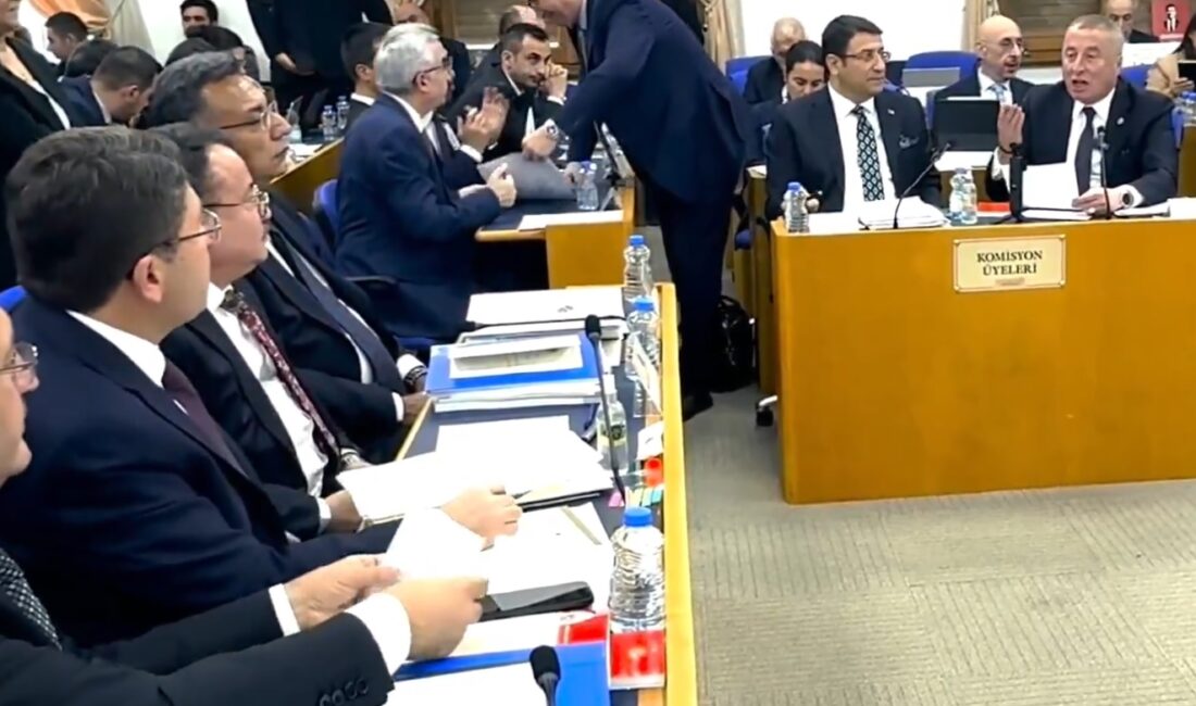 İYİ Parti Genel Başkan Yardımcısı, Hukuk-Seçim ve Parlamento İlişkileri Başkanı