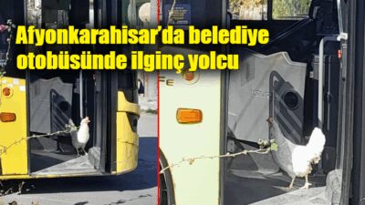 Toplu taşımaya binen tavuk yüzleri gülümsetti
