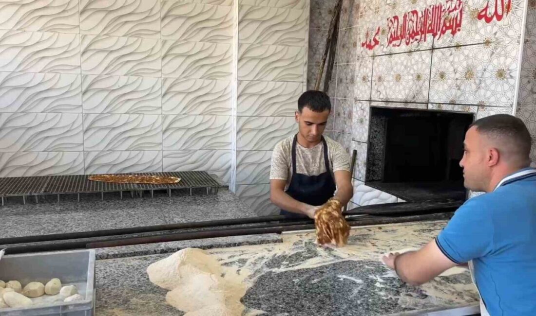 Şanlıurfa’nın Ceylanpınar ilçesinde yaşayan 18 yaşındaki genç, ehliyet başvuru yapmak