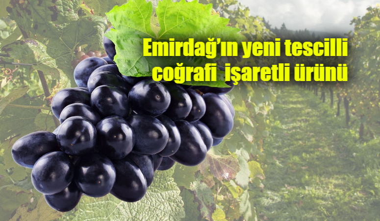 Kültür ve tarihin harmanlandığı Emirdağ, sahip olduğu yöresel değerleriyle adından