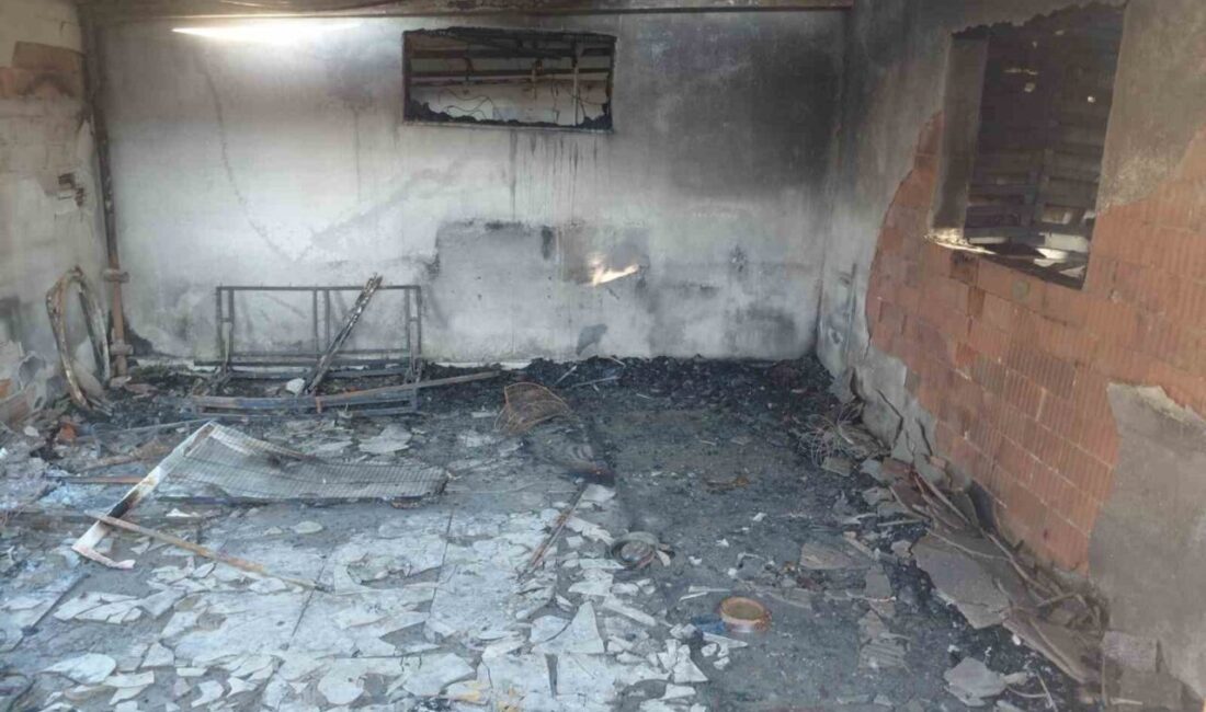 İzmir’in Menemen ilçesinde çıkan yangında, hayvansever kimliğiyle tanınan ’Islak Burunlar