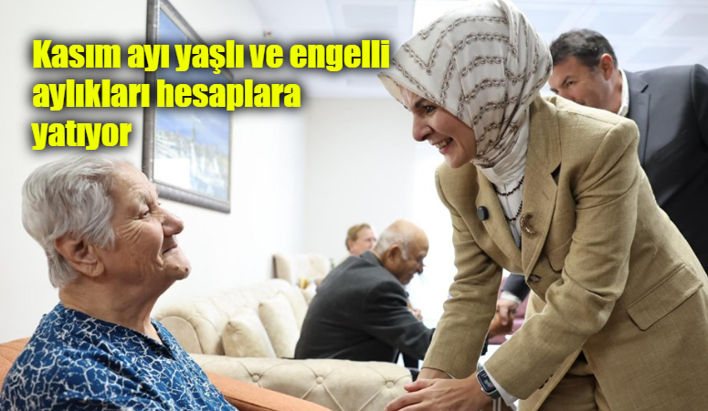 Aile ve Sosyal Hizmetler Bakanı Mahinur Özdemir Göktaş kasım ayına